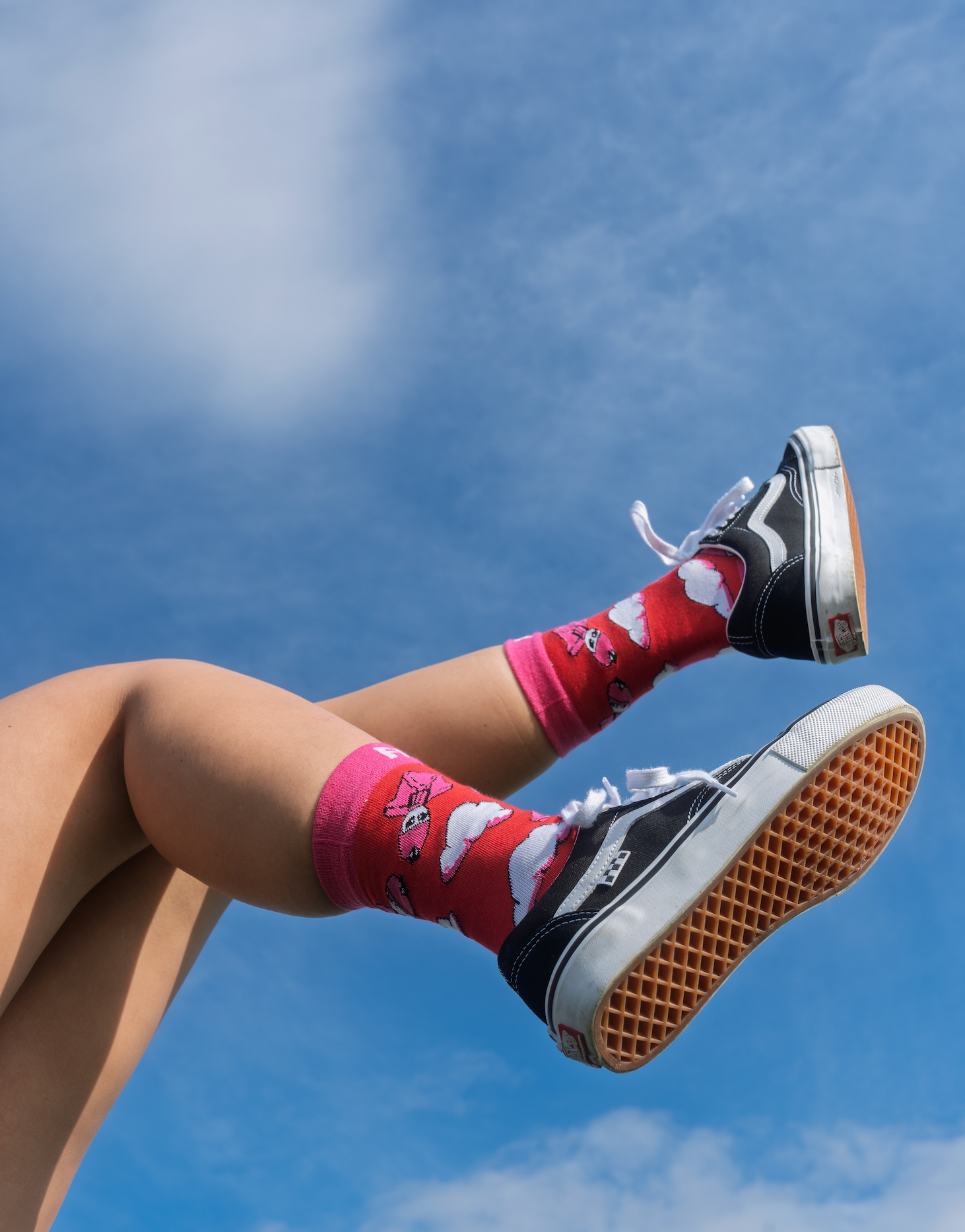WING SOCKS