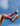 WING SOCKS